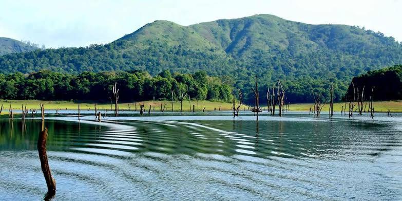 Villa Ashvis Thekkady
